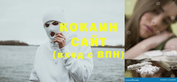 молекула духа Арсеньев