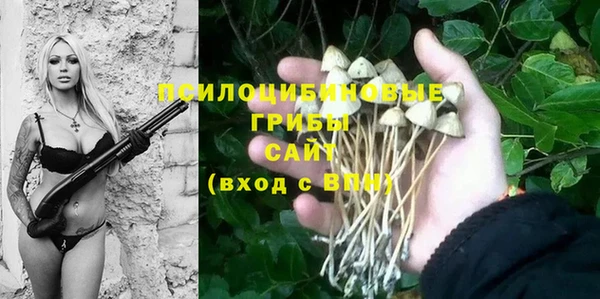 молекула духа Арсеньев