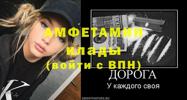 молекула духа Арсеньев