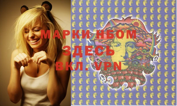 молекула духа Арсеньев