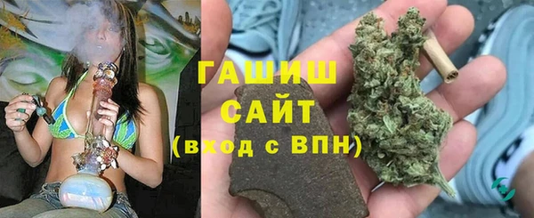 молекула духа Арсеньев