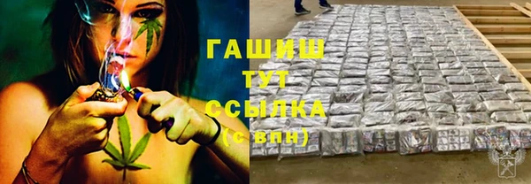 молекула духа Арсеньев