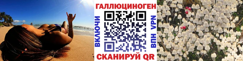 продажа наркотиков Курск Псилоцибиновые грибы Cubensis